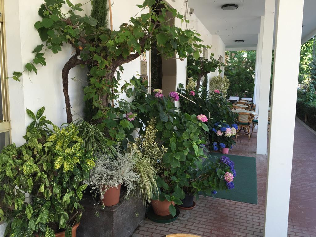 Hotel Villa Verde San Mauro Mare Zewnętrze zdjęcie